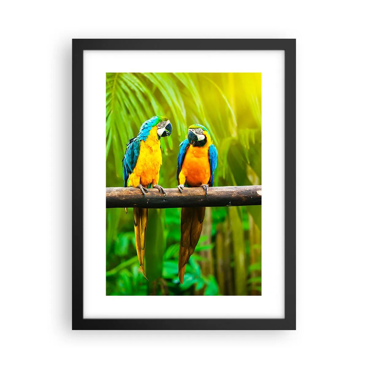 Poster in black frame - Did You Hear that She…? - 30x40 cm