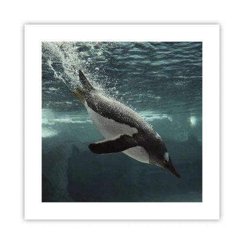 Poster - Welcome to My World - 40x40 cm