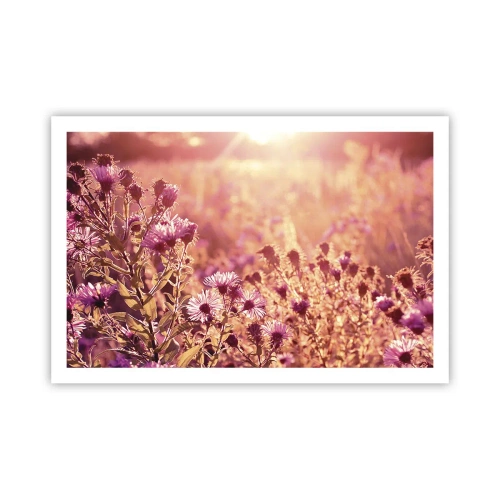 Poster - Before Summer Goes - 91x61 cm