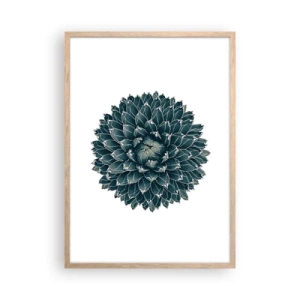 Poster in light oak frame - Star of the Desert - 50x70 cm