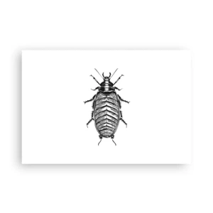 Poster - What a Specimen - 91x61 cm