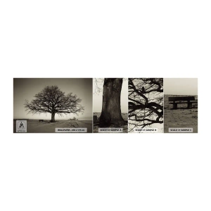 Photo Wallpaper Sample Standard Eco - From Here to Eternity - Landscape, Tree, Nature - 100x30 cm