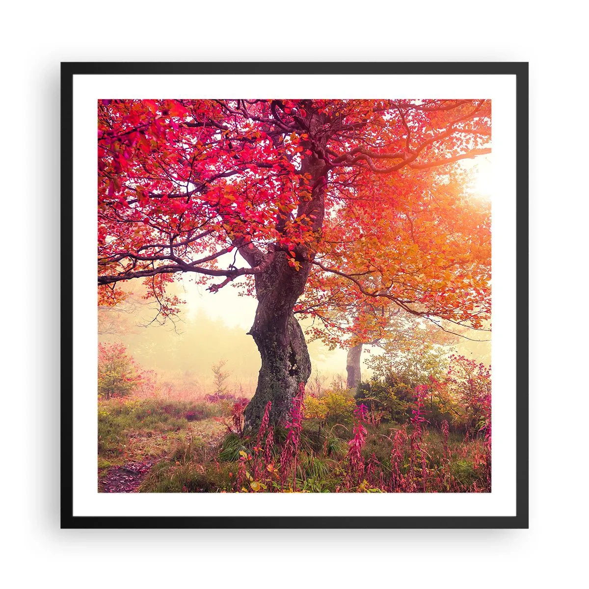 Poster in black frame - In Full Bloom - 60x60 cm