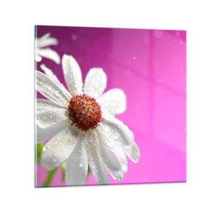 Glass picture - Modest in Its Beauty - 60x60 cm
