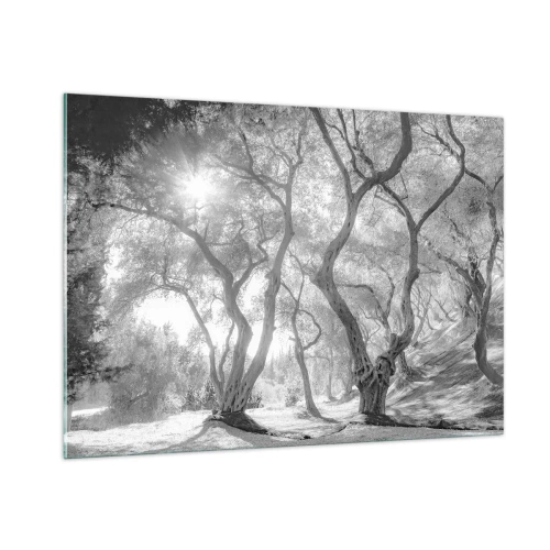 Glass picture - In an Olive Grove - 100x70 cm