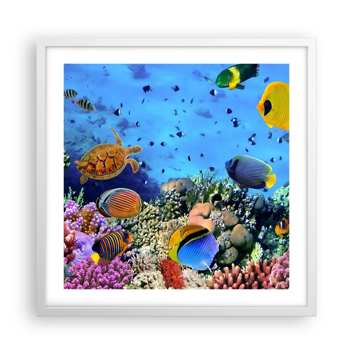 Poster in white frmae - What Do We Know about Life? - 50x50 cm