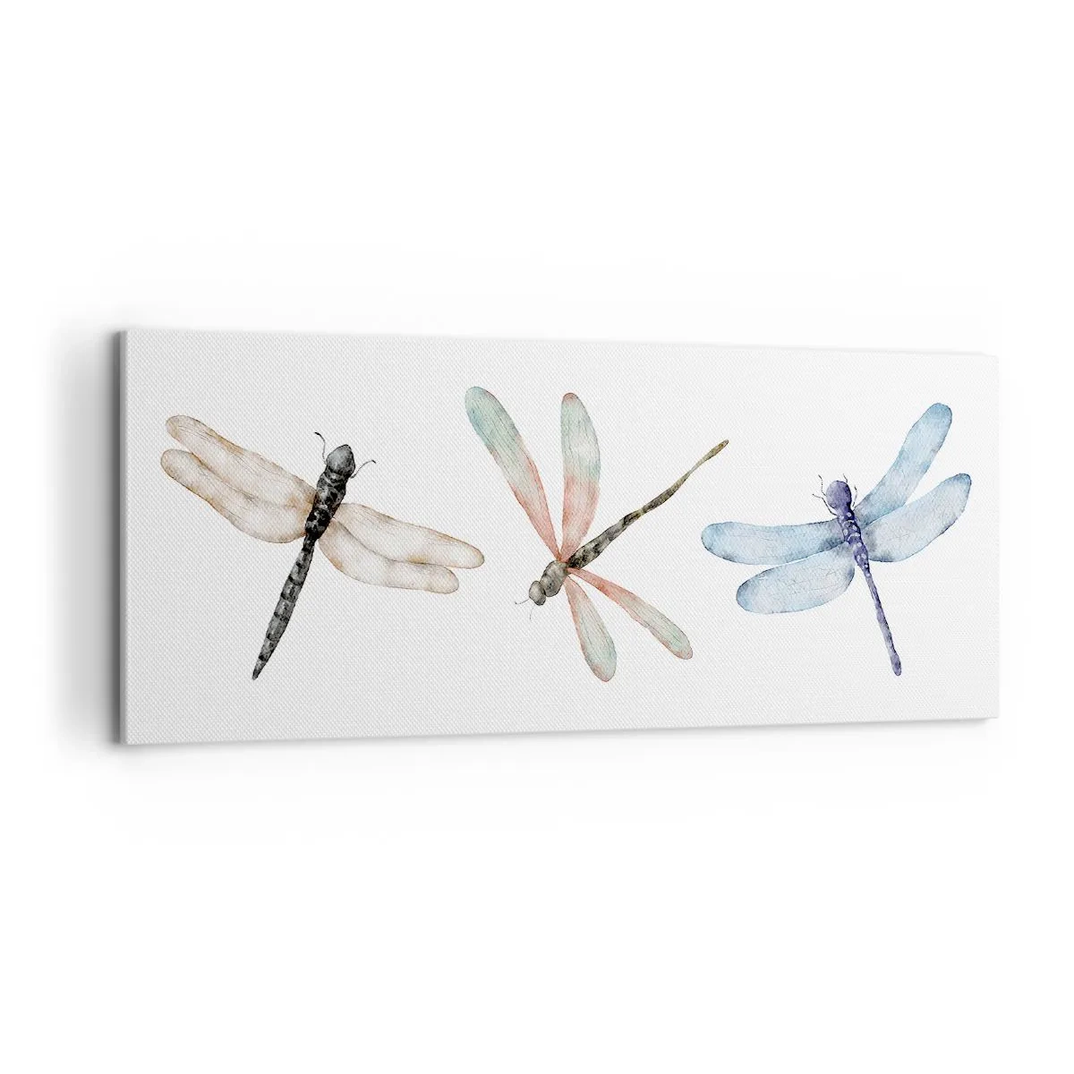 Canvas picture - Lightness of Dragonflies - 100x40 cm
