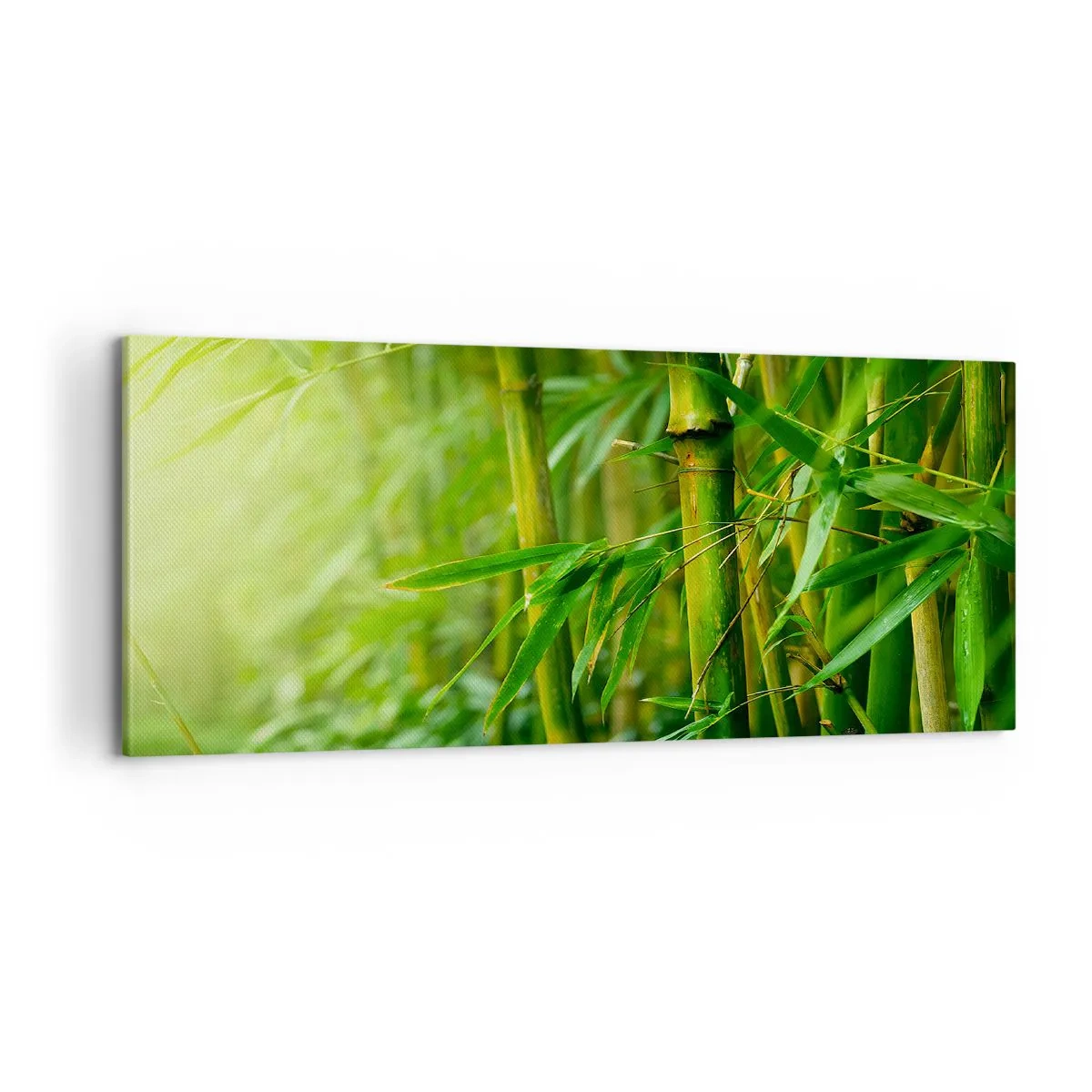 Canvas picture - Getting to Know the Green - 100x40 cm