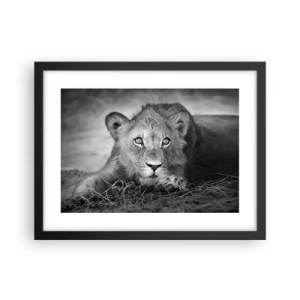 Poster in black frame - Royal Puppy - 40x30 cm