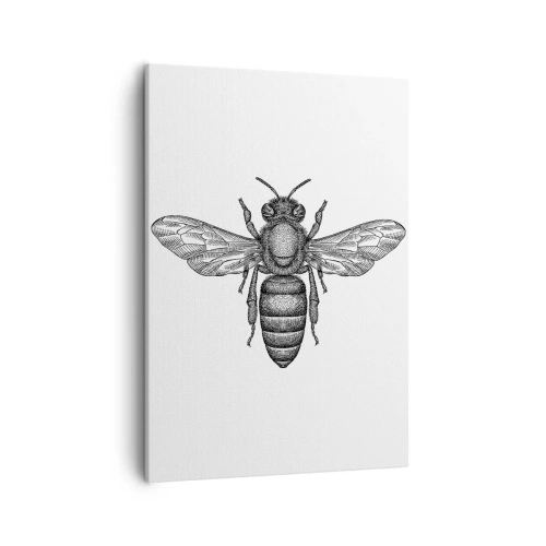 Canvas picture - Insect Portrait - 50x70 cm