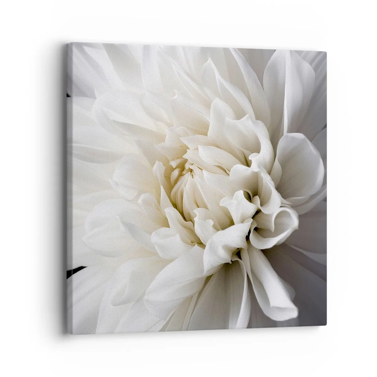 Canvas picture - Bride's Morning - 30x30 cm
