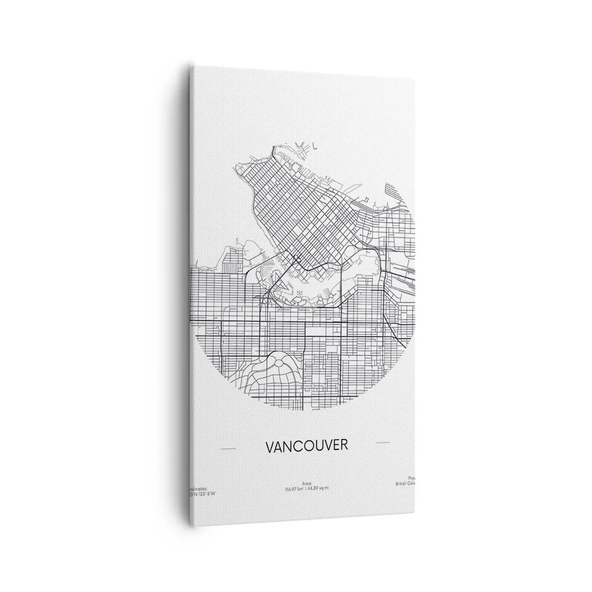 Canvas picture - Anatomy of Vancouver - 55x100 cm