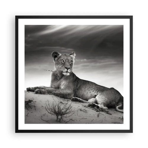 Poster in black frame - Queen of Desert Is Resting - 60x60 cm