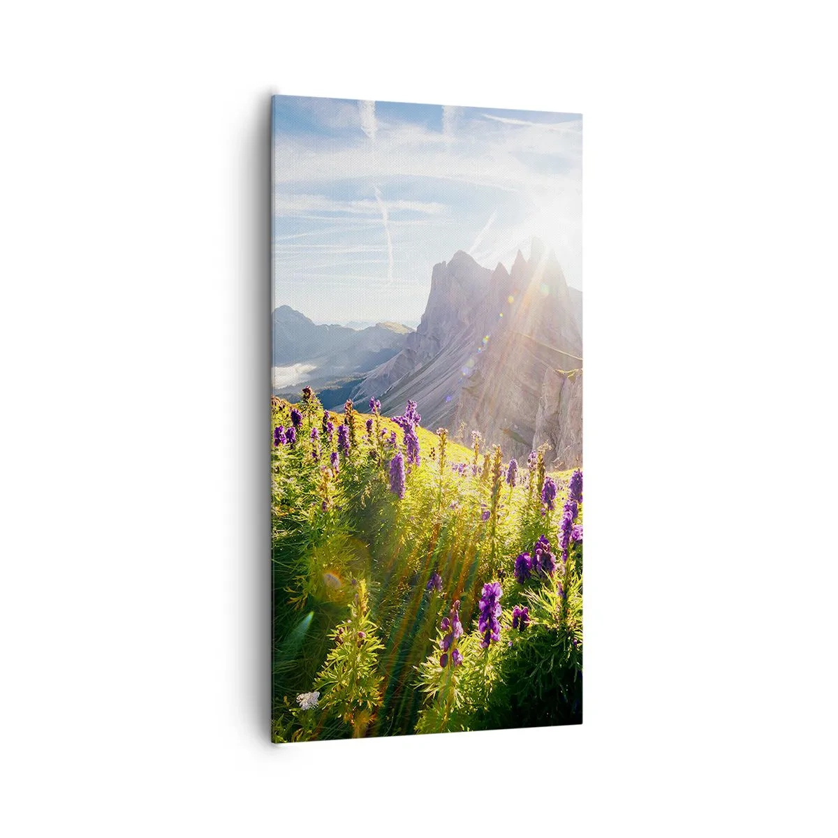 Canvas picture - Secret Life of Herbs - 65x120 cm