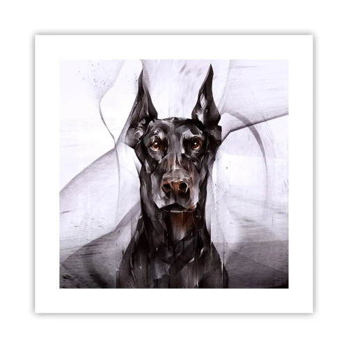 Poster - Born to Nobility - 40x40 cm