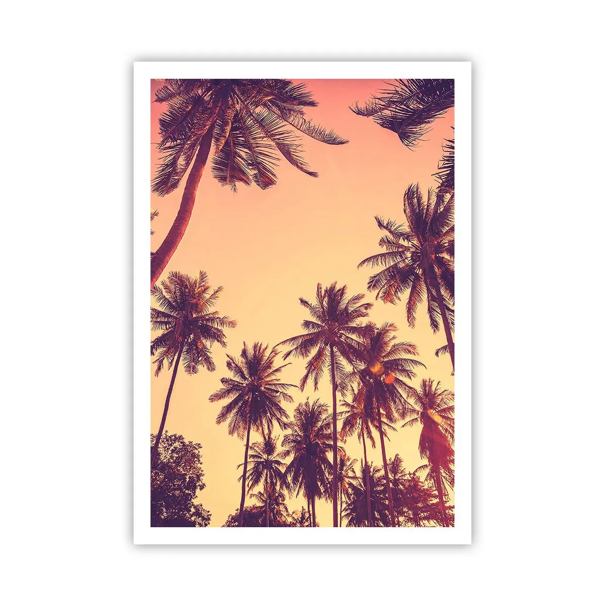 Poster - Tropical Variation - 70x100 cm