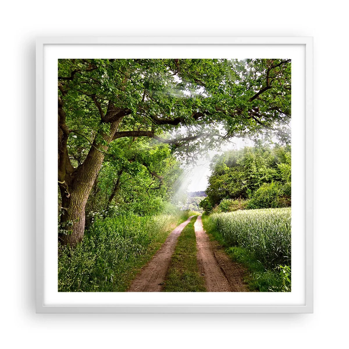 Poster in white frmae - Et in Arcadia Ego - 60x60 cm