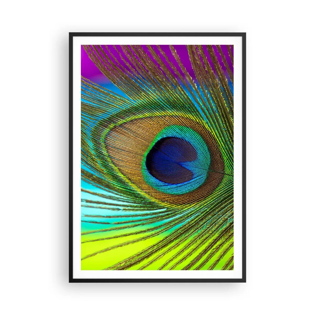 Poster in black frame - Eye to Eye - 70x100 cm