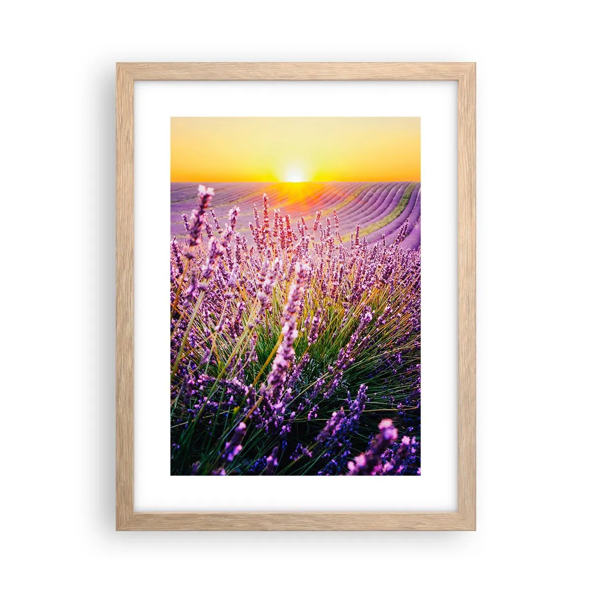 Poster in light oak frame - Fragrant Field - 30x40 cm
