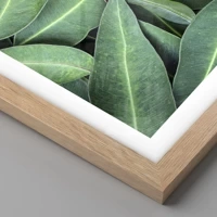 Light Oak