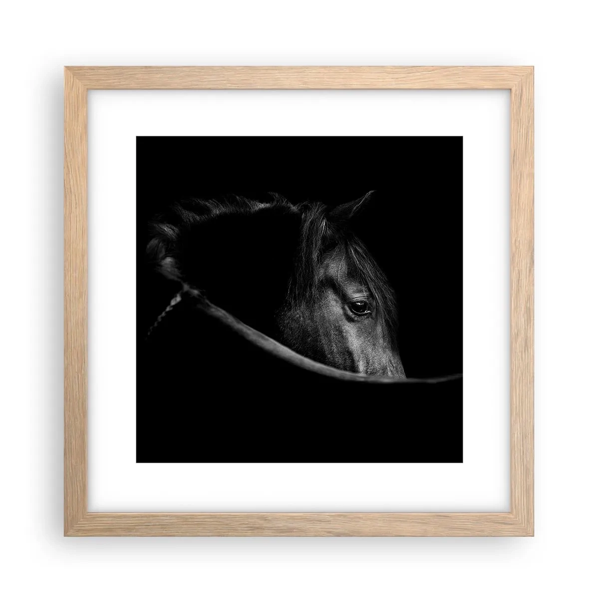 Poster in light oak frame - Black Prince - 30x30 cm