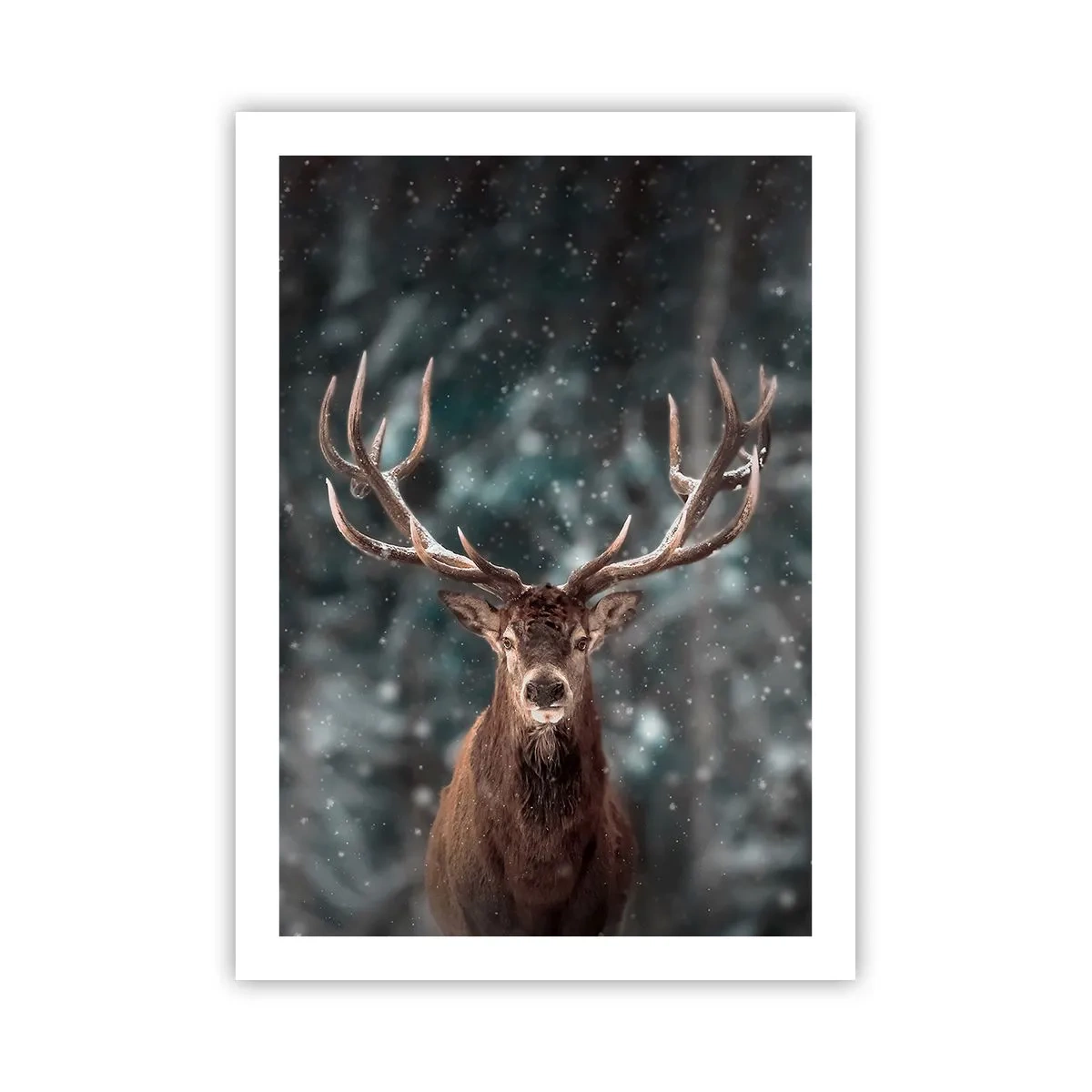 Poster - King of Forest Crowned - 50x70 cm