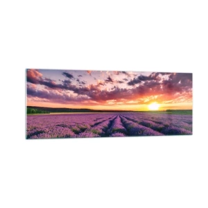 Glass picture - Lavender World - 140x50 cm