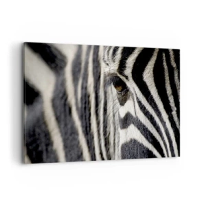 Canvas picture - Striped Portrait - 120x80 cm