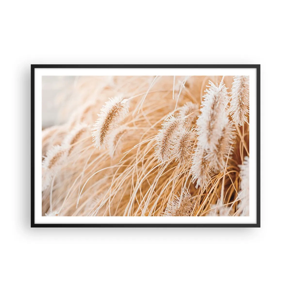 Poster in black frame - Golden Rustling of Grass - 100x70 cm