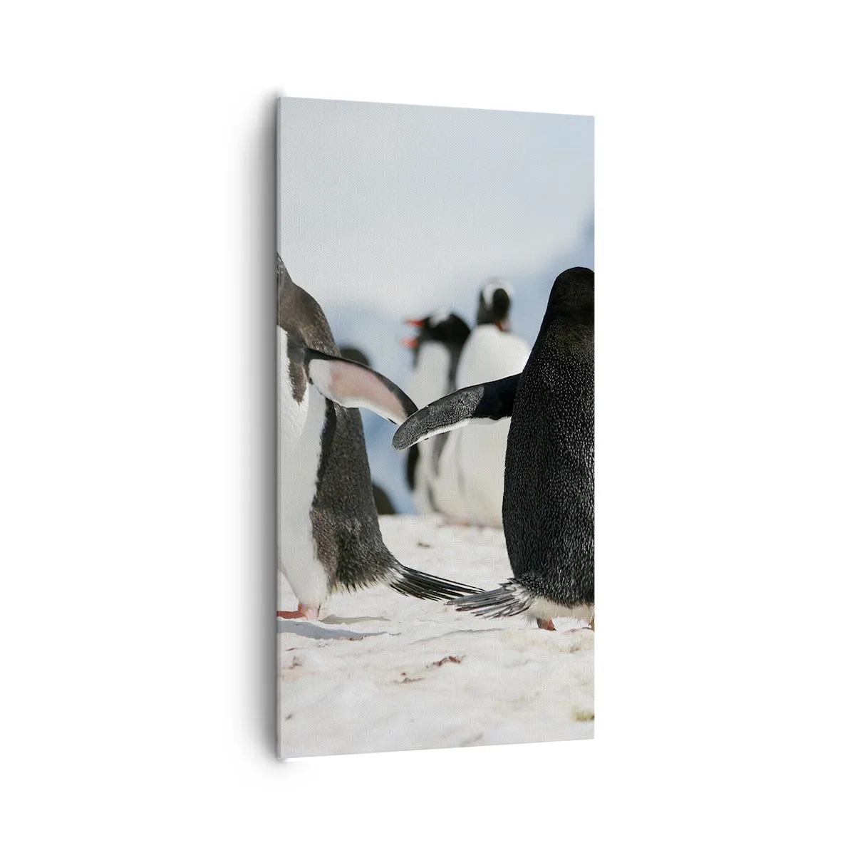 Canvas picture - Dance in the Snow - 65x120 cm