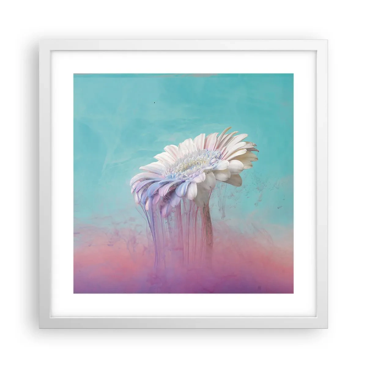 Poster in white frmae - Afterlife of Flowers - 40x40 cm