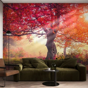 Photo Wallpaper Premium Canvas - In Full Bloom - Landscape, Park, Flowers - 450x315 cm