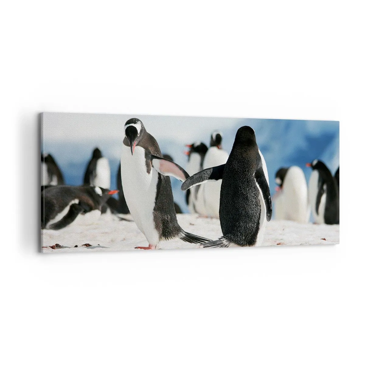 Canvas picture - Dance in the Snow - 120x50 cm