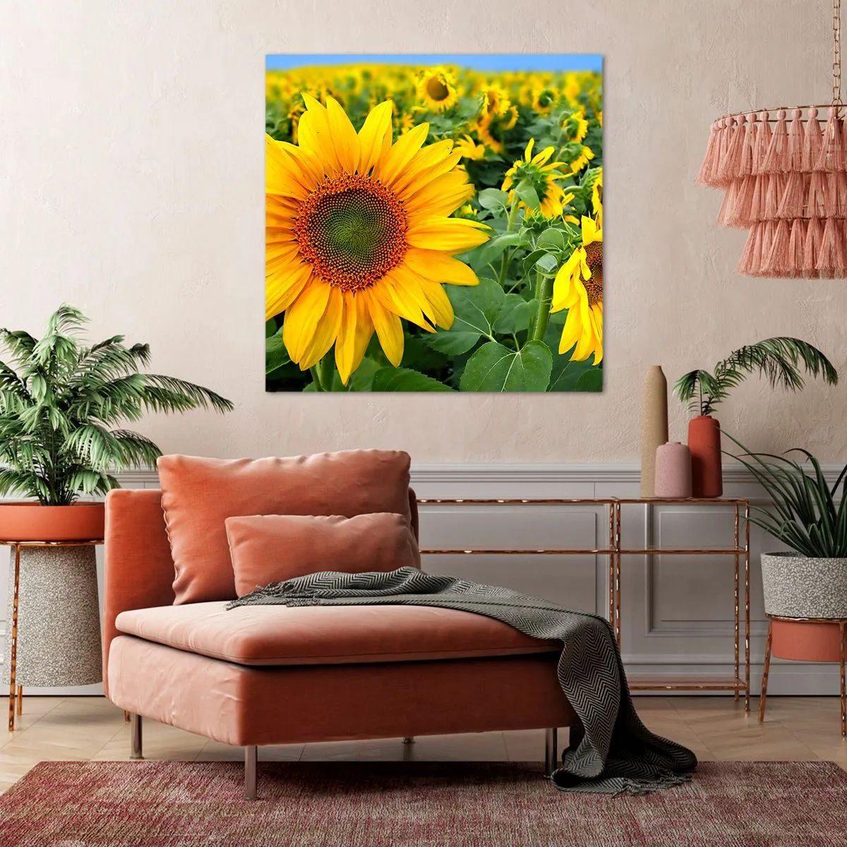 Canvas picture - Hundreds of the Suns - 40x40 cm