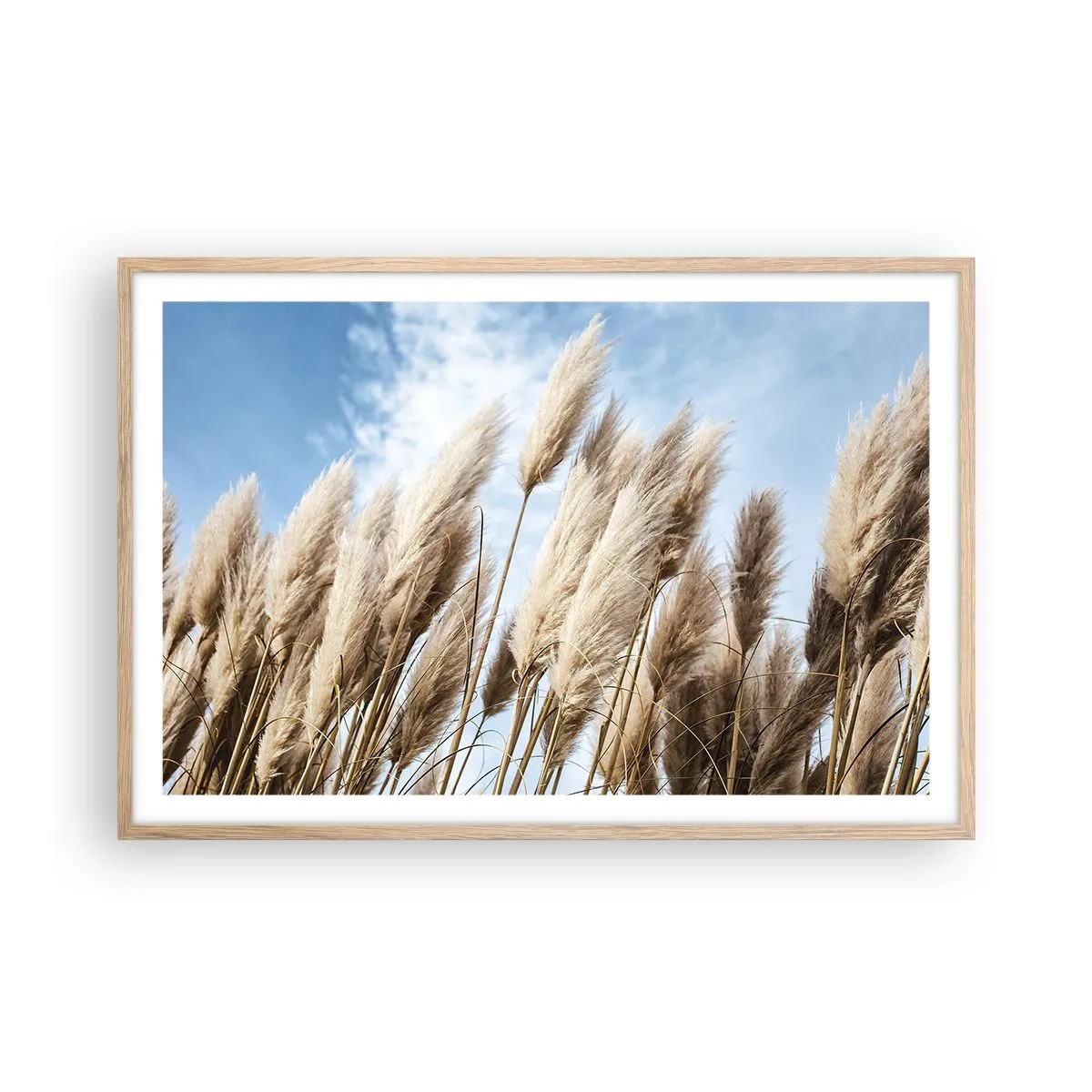 Poster in light oak frame - Caress of Sun and Wind - 91x61 cm