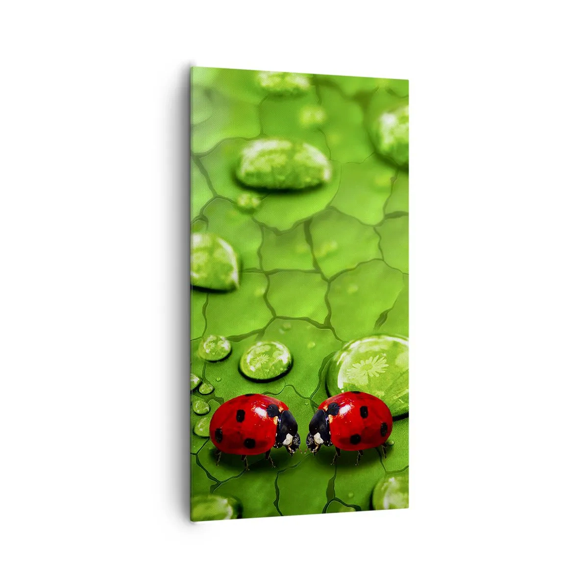 Canvas picture - Encounter in Green - 65x120 cm