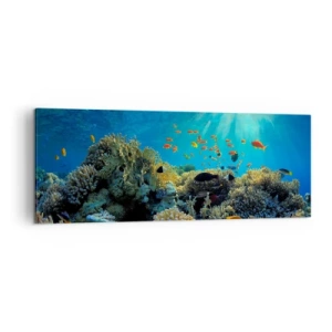 Canvas picture - Underwater Treasures - 140x50 cm