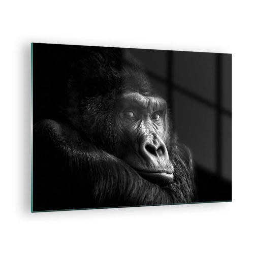 Glass picture - Black and white portrait of a gorilla in the shadow of a window - 70x50cm - What Are You Looking At? - Modern wall decoration for the living room and bedroom ARTTOR