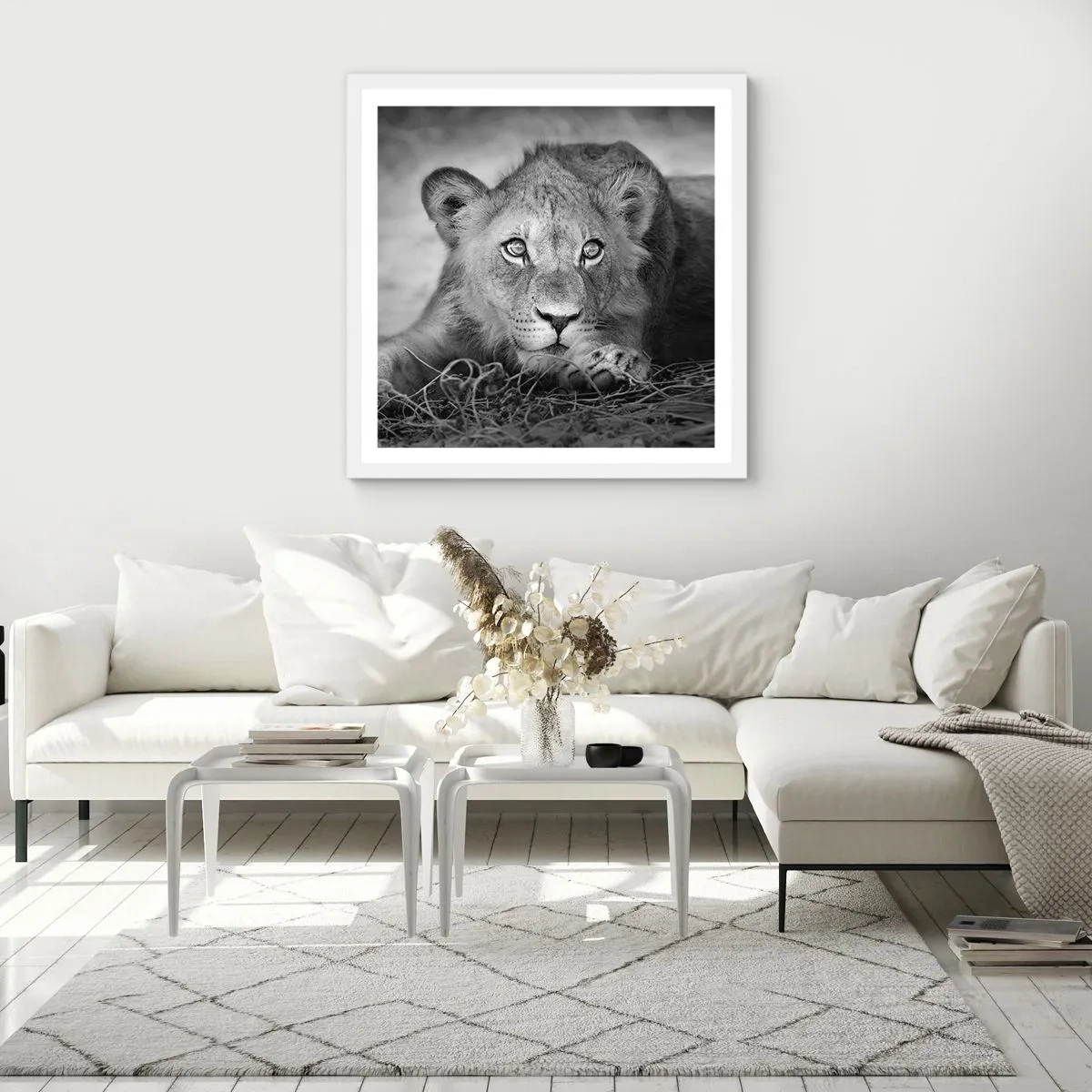 Poster in white frmae - Royal Puppy - 40x40 cm