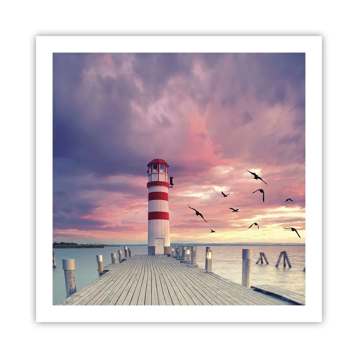 Poster - Time for Port - 60x60 cm