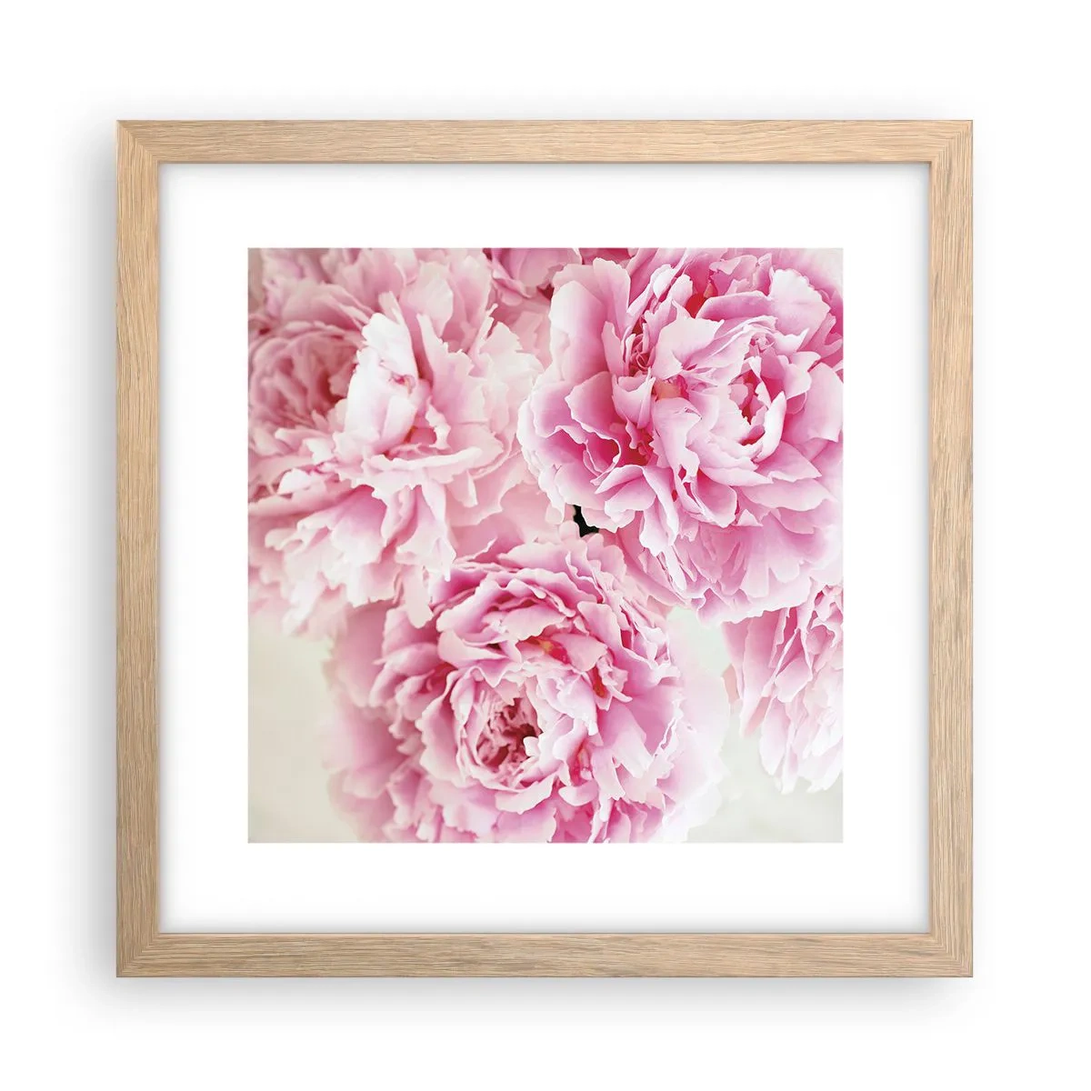 Poster in light oak frame - In Pink Splendour - 30x30 cm
