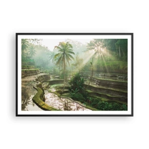 Poster in black frame - Maturing in the Sun - 100x70 cm