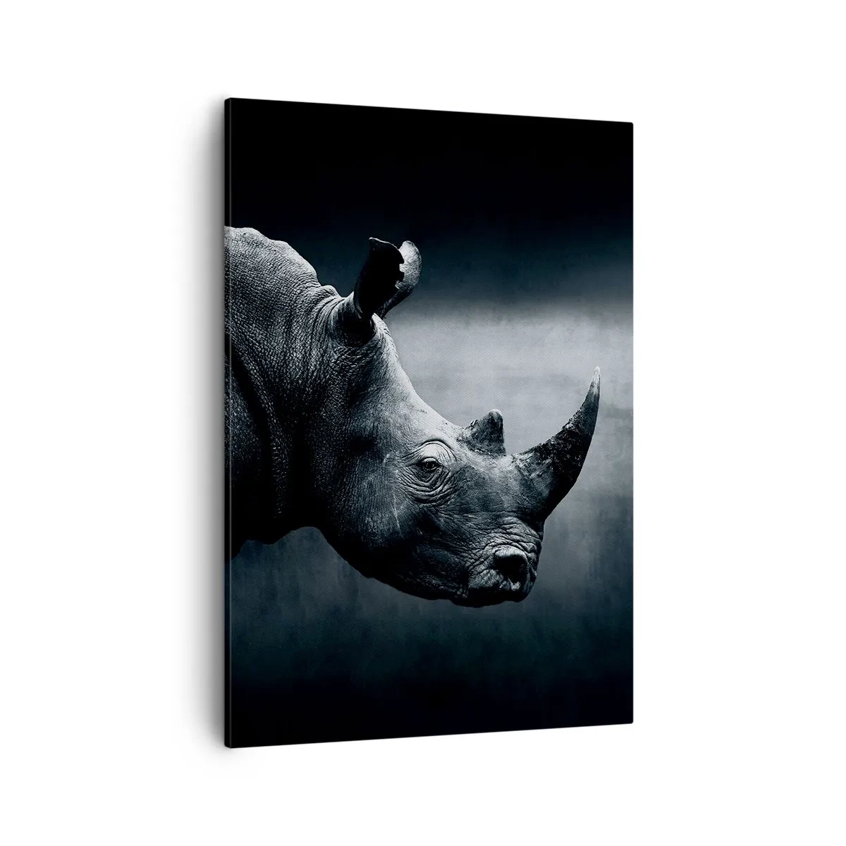 Canvas picture - Right Profile - 50x70 cm