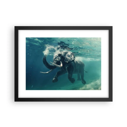 Poster in black frame - Everyone Likes to Swim - 40x30 cm