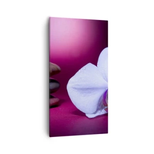 Canvas picture - Study of Freshness in Purple - 55x100 cm