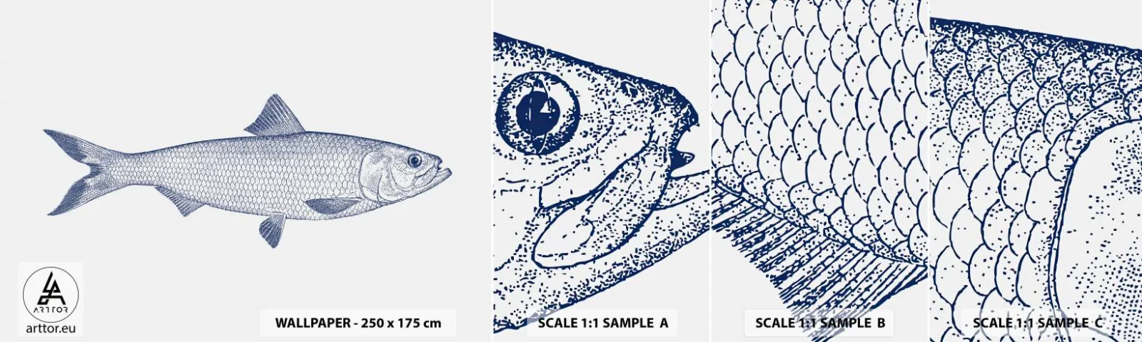 Photo Wallpaper Sample Standard Eco - Greetings From Northern Seas - Fish, Sea Animal, Seaside Style - 100x30 cm