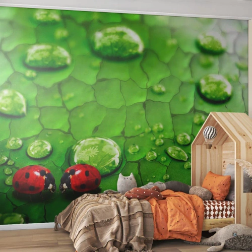 Custom Wallpaper Premium Canvas - Encounter in Green - Nature, Ladybird, A drop of water
