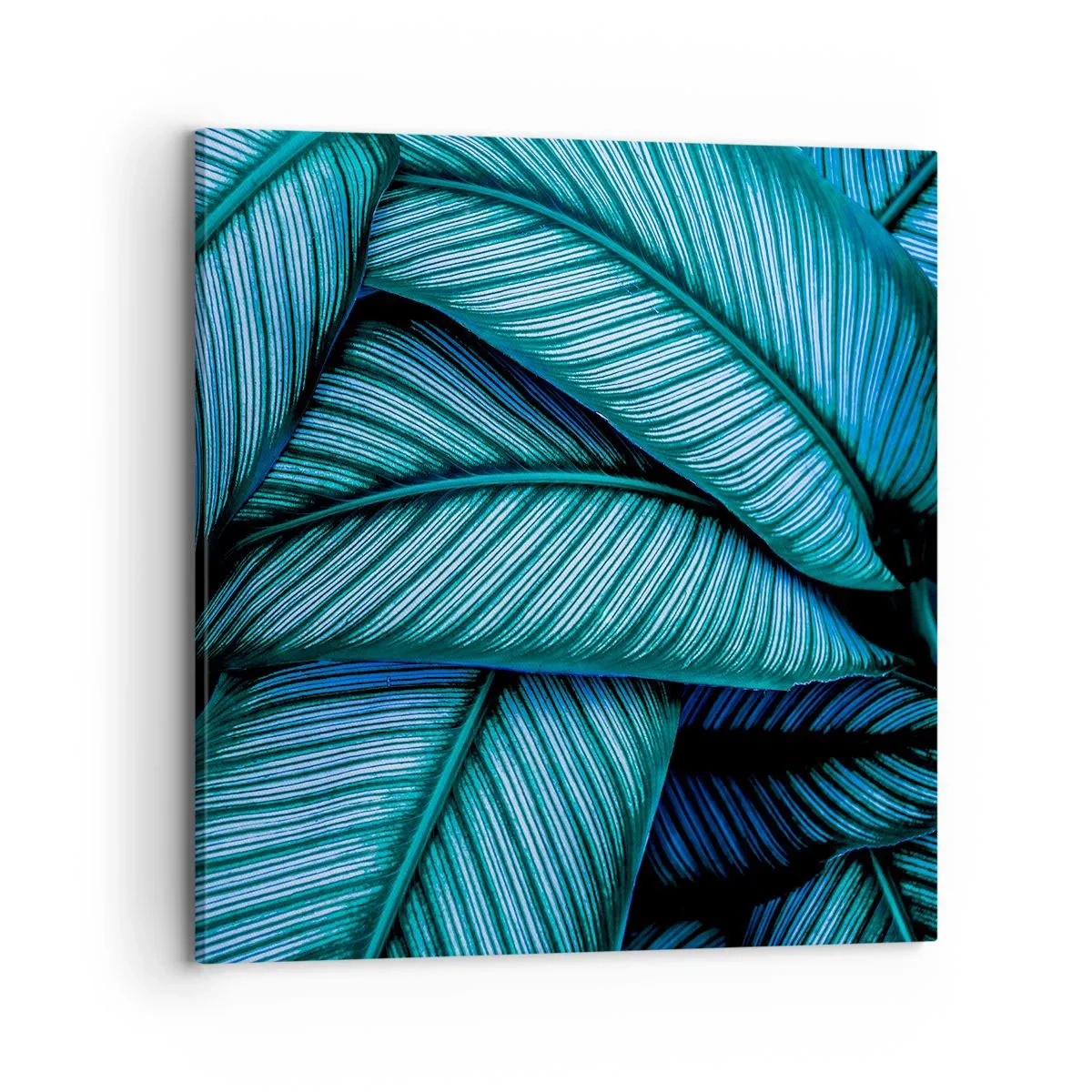 Canvas picture - Lifelines - 70x70 cm