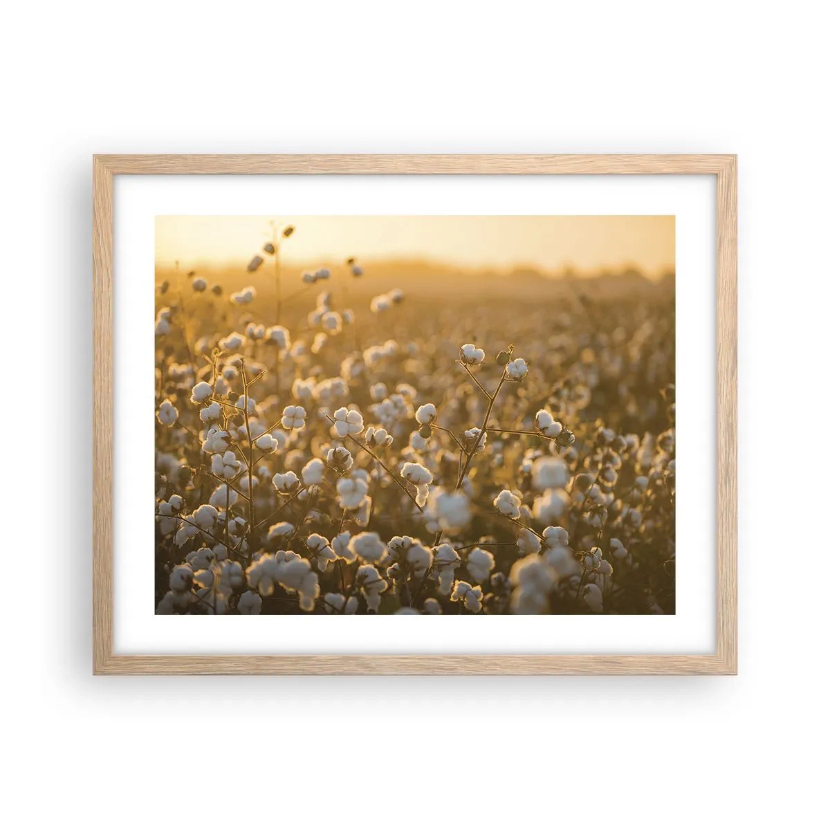 Poster in light oak frame - Fluffy Field - 50x40 cm