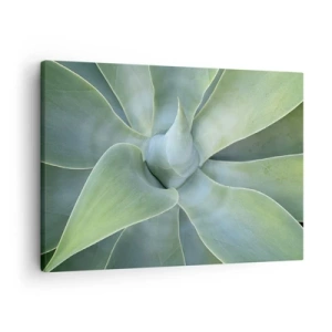 Canvas picture - Subtle agave leaves in shades of green - 70x50cm - Birth of Green - Modern wall decoration for the living room and bedroom ARTTOR